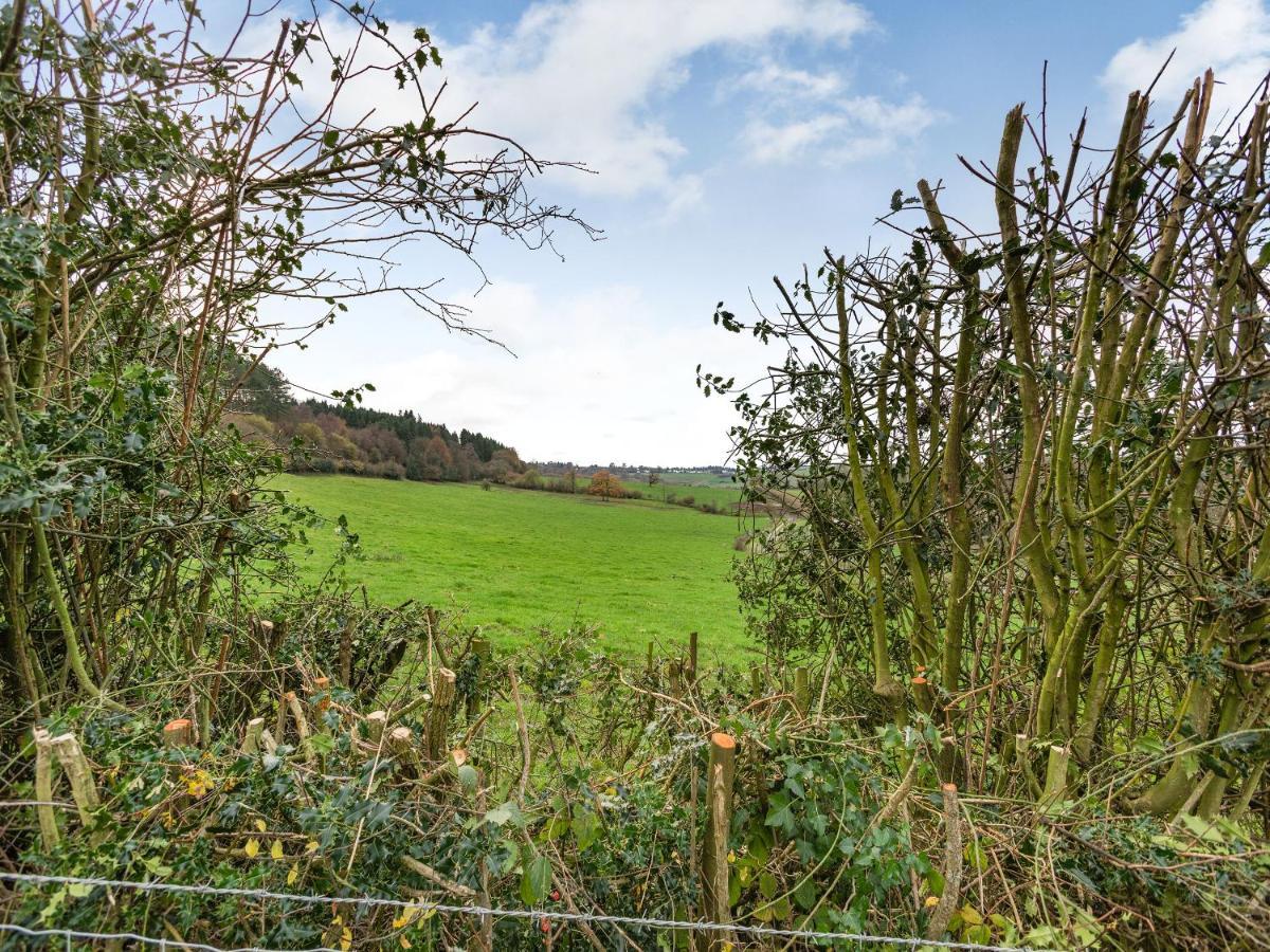 Hoarthorns Hideaway - Uk41687 Villa Coleford  Luaran gambar